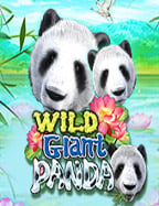 เล่น เกมส์ ไพ่ ดั ม มี ได้เงินจริง: วิธีเล่นและเคล็ดลับ